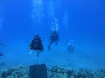 Hawaii Scuba divng 25