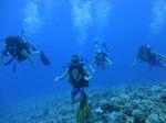 Hawaii Scuba divng 29