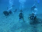 Hawaii Scuba divng 30