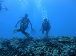 Hawaii Scuba divng 31