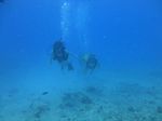 Hawaii Scuba divng 32