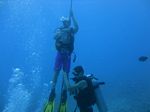 Hawaii Scuba divng 33