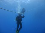 Hawaii Scuba divng 38