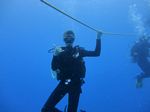 Hawaii Scuba divng 39