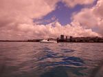 Hawaii Scuba divng 03