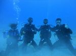 Hawaii Scuba divng 41