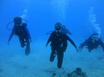 Hawaii Scuba divng 42