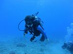 Hawaii Scuba divng 43