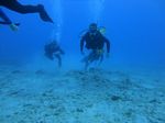 Hawaii Scuba divng 44