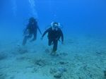 Hawaii Scuba divng 49