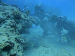 Hawaii Scuba divng 52