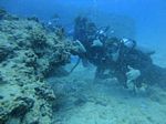 Hawaii Scuba divng 53