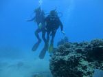 Hawaii Scuba divng 54