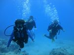 Hawaii Scuba divng 58