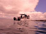 Hawaii Scuba divng 05