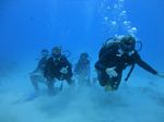 Hawaii Scuba divng 60