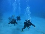 Hawaii Scuba divng 61