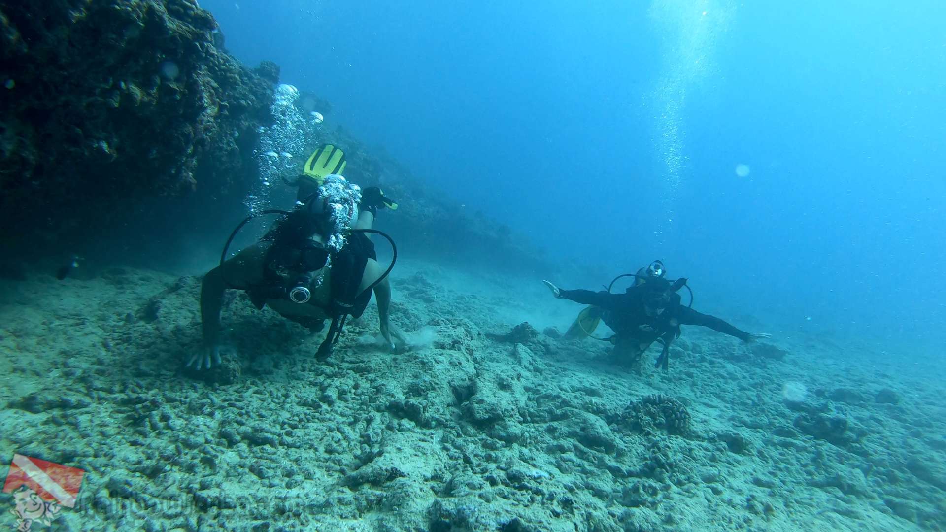 Hawaii scuba - 07-27-2019-1pm