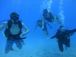 Hawaii Scuba divng 13