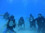 Hawaii Scuba divng 14