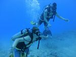 Hawaii Scuba divng 16