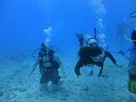 Hawaii Scuba divng 17