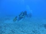 Hawaii Scuba divng 20