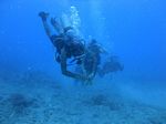 Hawaii Scuba divng 21