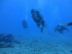 Hawaii Scuba divng 22