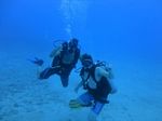 Hawaii Scuba divng 23