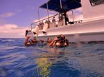 Hawaii Scuba divng 32