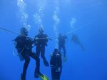 Hawaii Scuba divng 33