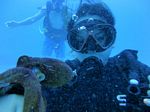 Hawaii Scuba divng 42