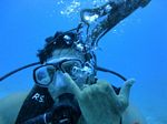 Hawaii Scuba divng 47