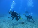 Hawaii Scuba divng 54