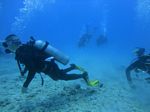 Hawaii Scuba divng 56