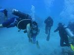 Hawaii Scuba divng 60