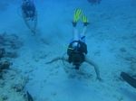 Hawaii Scuba divng 61