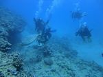 Hawaii Scuba divng 63