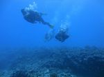 Hawaii Scuba divng 66