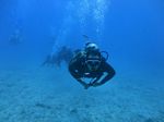 Hawaii Scuba divng 67