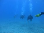 Hawaii Scuba divng 68