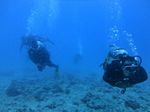 Hawaii Scuba divng 69