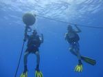 Hawaii Scuba divng 06