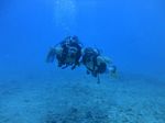 Hawaii Scuba divng 70