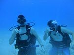 Hawaii Scuba divng 07