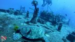 Waikiki scuba 17