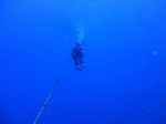 Hawaii Scuba divng 11