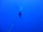 Hawaii Scuba divng 11