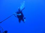 Hawaii Scuba divng 12